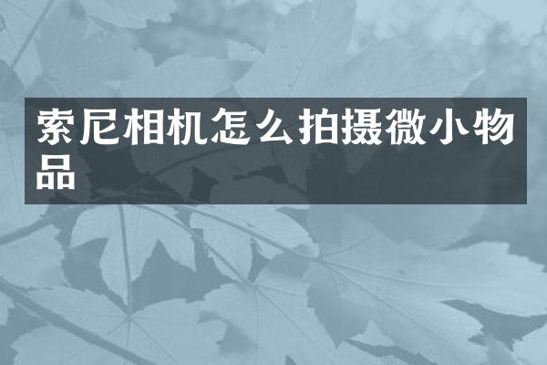 相机怎么拍摄微小物品