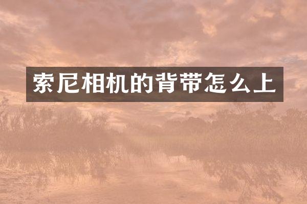 相机的背带怎么上
