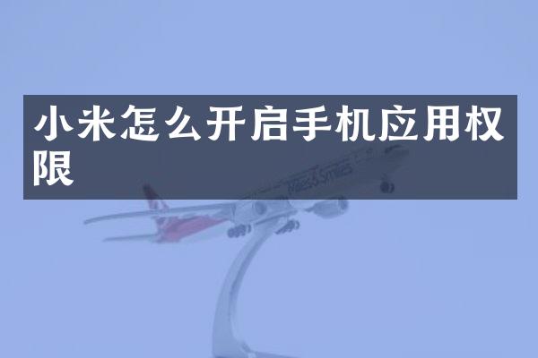 小米怎么开启手机应用权限