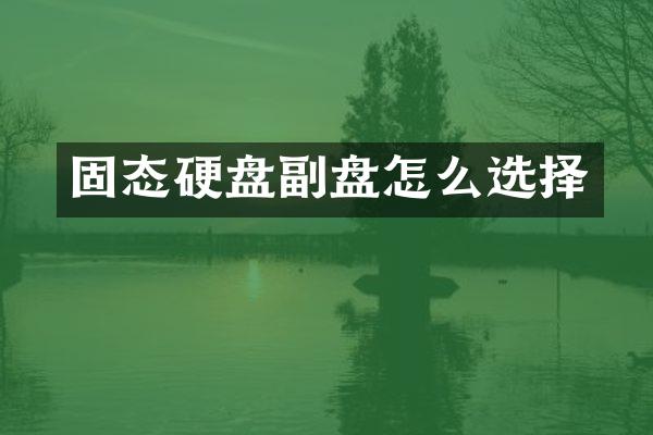 固态硬盘副盘怎么选择