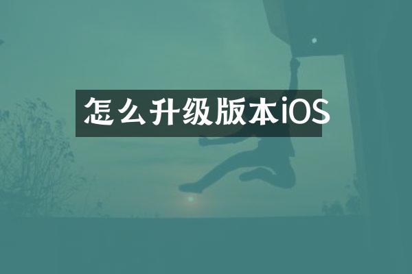 怎么升级版本iOS