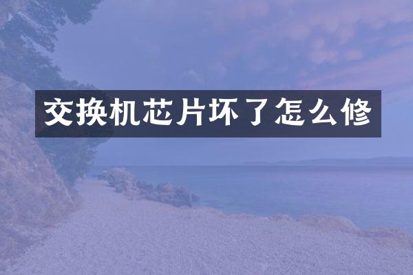 交换机芯片坏了怎么修