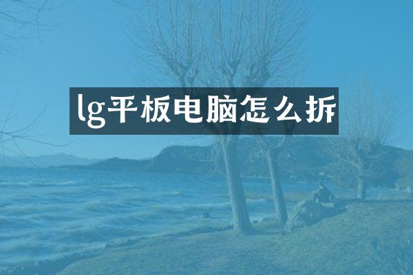 lg平板电脑怎么拆