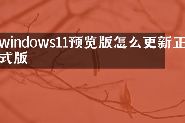 windows11预览版怎么更新正式版