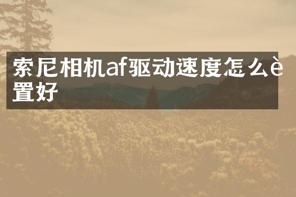 相机af驱动速度怎么设置好