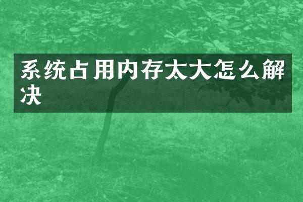 系统占用内存太大怎么解决