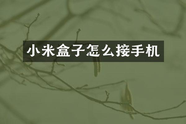 小米盒子怎么接手机