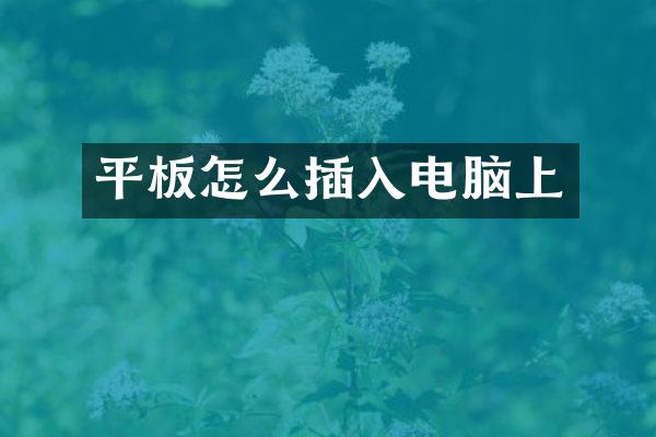 平板怎么插入电脑上
