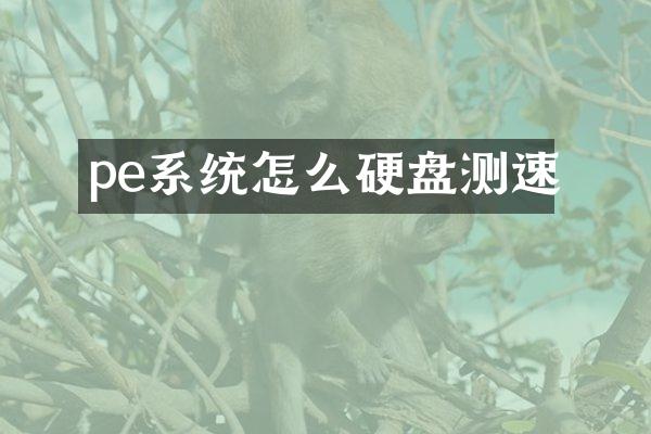 pe系统怎么硬盘测速