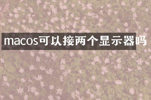 macos可以接两个显示器吗