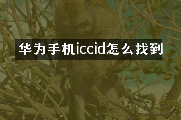 华为手机iccid怎么找到