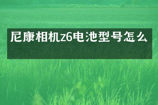 尼康相机z6电池型号怎么看