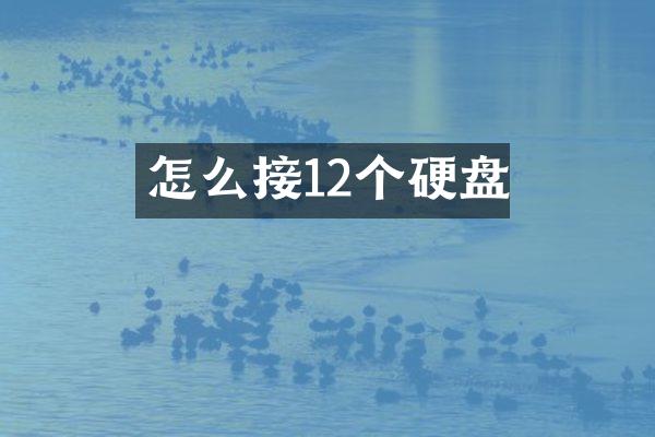 怎么接12个硬盘