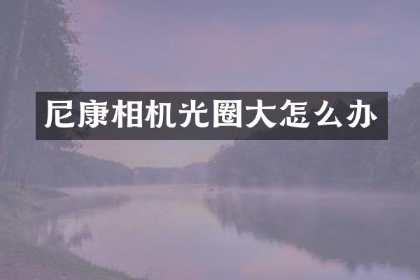 尼康相机光圈大怎么办