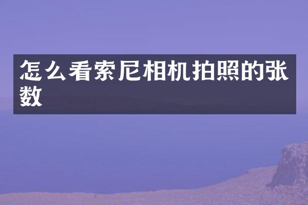 怎么看相机拍照的张数