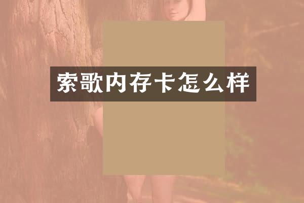 索歌内存卡怎么样