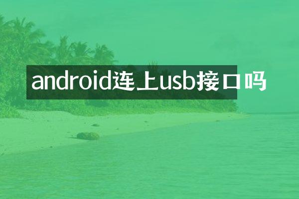 android连上usb接口吗