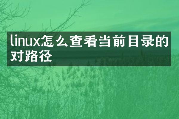 linux怎么查看当前目录的绝对路径