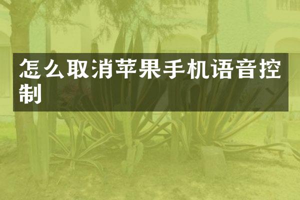 怎么取消苹果手机语音控制