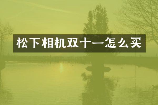 相机双十一怎么买