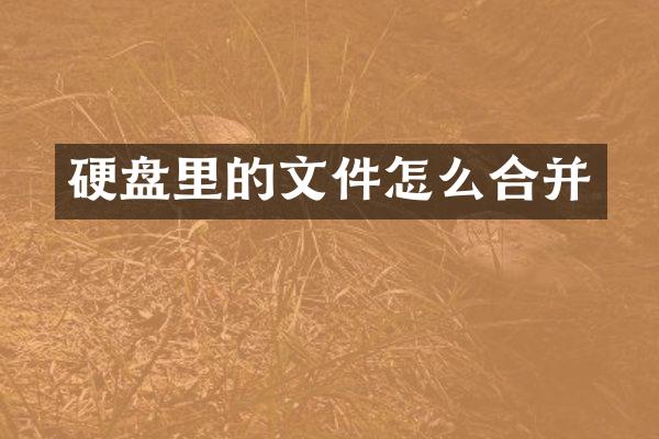 硬盘里的文件怎么合并