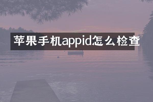 苹果手机appid怎么检查