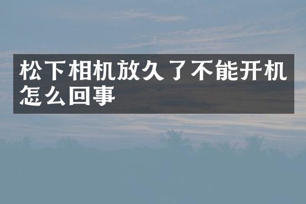 相机放久了不能开机怎么回事