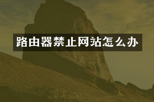 路由器禁止网站怎么办