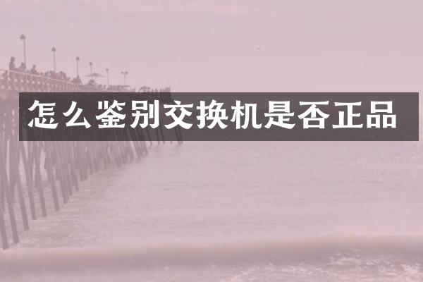 怎么鉴别交换机是否正品