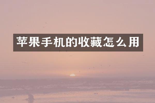 苹果手机的收藏怎么用