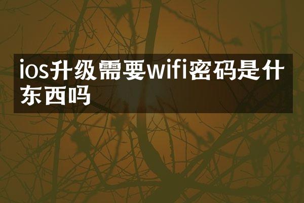 ios升级需要wifi密码是什么东西吗