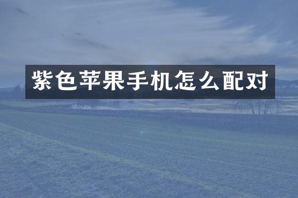 紫色苹果手机怎么配对