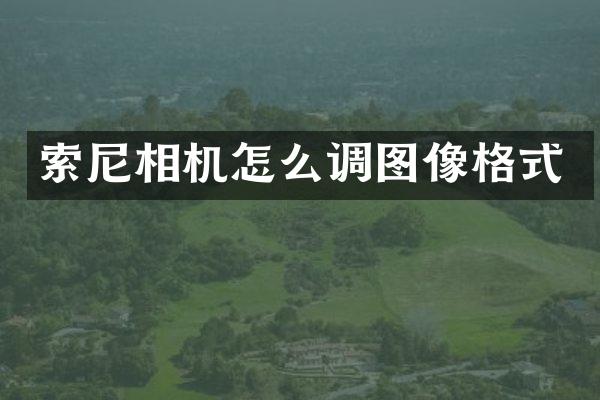 相机怎么调图像格式