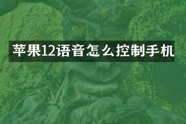 苹果12语音怎么控制手机