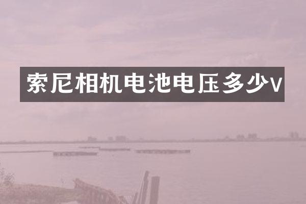 相机电池电压多少v