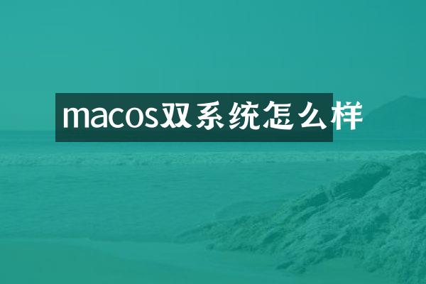 macos双系统怎么样