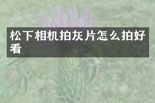 相机拍灰片怎么拍好看