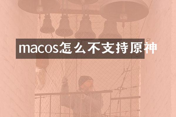 macos怎么不支持原神