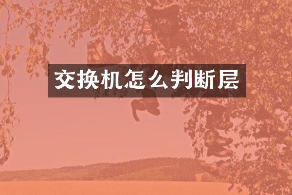 交换机怎么判断层