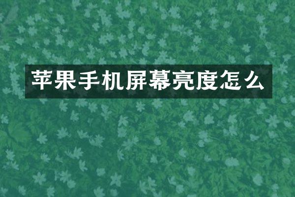 苹果手机屏幕亮度怎么