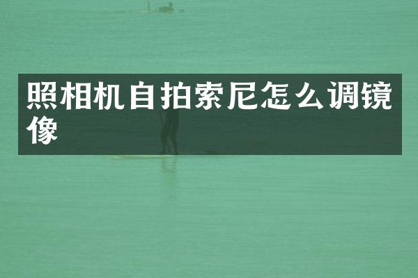 照相机怎么调镜像