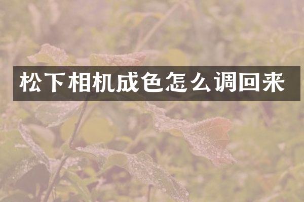 相机成色怎么调回来