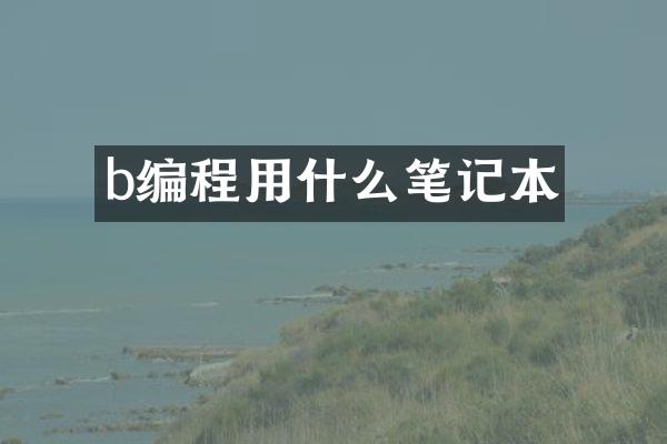 b编程用什么笔记本