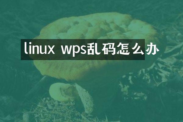 linux wps乱码怎么办