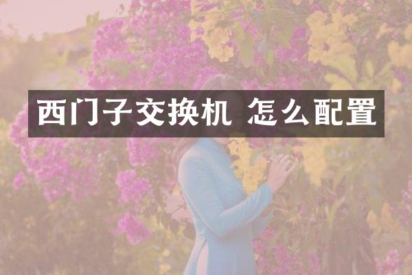 西门子交换机 怎么配置