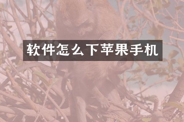 软件怎么下苹果手机