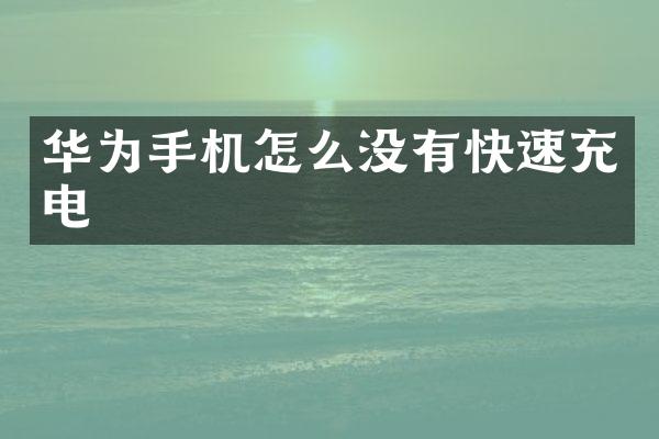 华为手机怎么没有快速充电