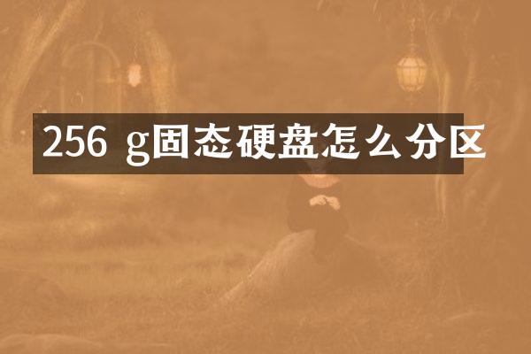 256 g固态硬盘怎么分区