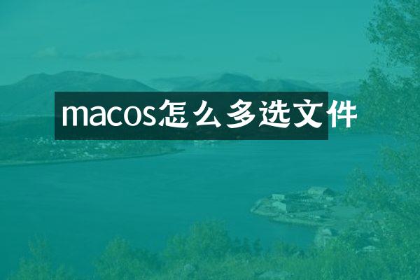 macos怎么多选文件