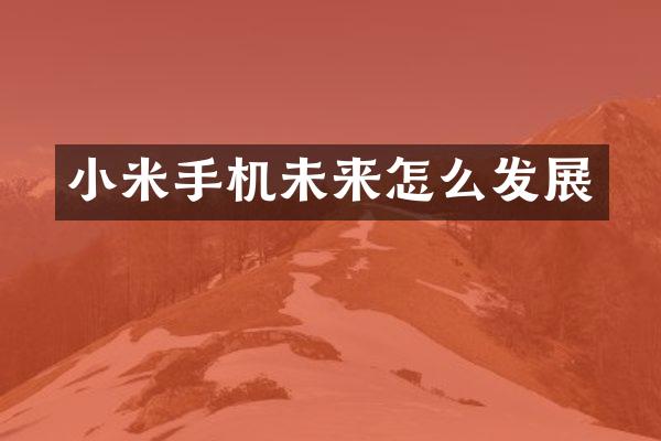 小米手机未来怎么发展
